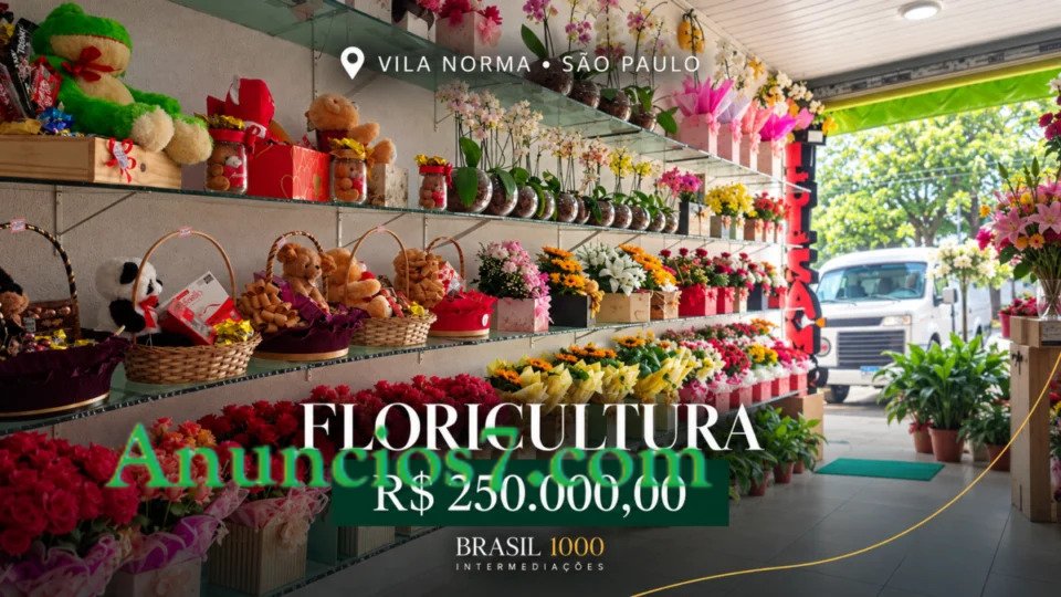Floricultura à VENDA 